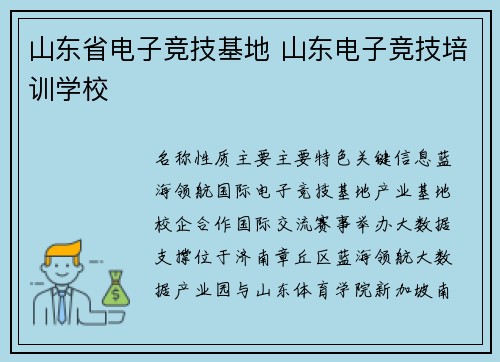 山东省电子竞技基地 山东电子竞技培训学校